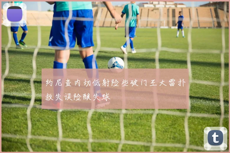 约尼查内切低射险些破门王大雷扑救失误险酿失球
