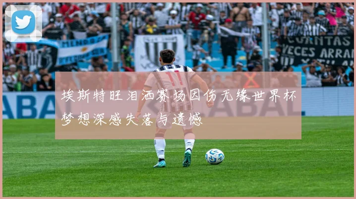 埃斯特旺泪洒赛场因伤无缘世界杯梦想深感失落与遗憾